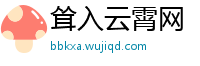 耸入云霄网